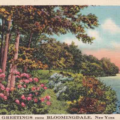 Greetings from Bloomingdale, New York.