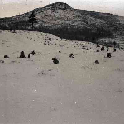 Negative, Sheet Film