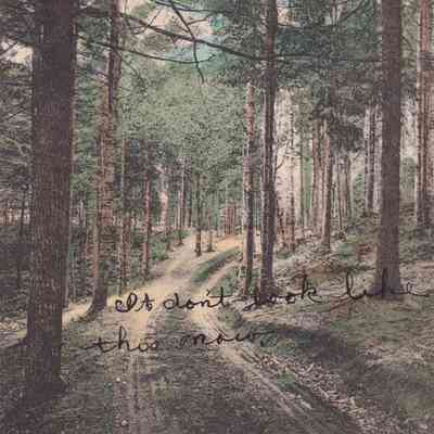 'Road Through the Woods' Lake Kushaqua, Adirondack Mts., N. Y.