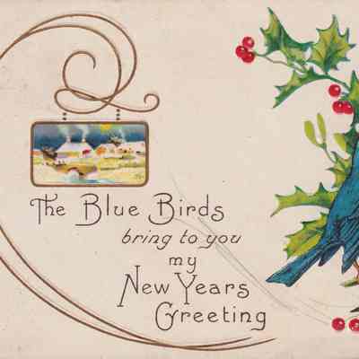 The Blue Birds Bring to You My New Years Greeting