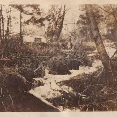 Photograph, Black-and-White