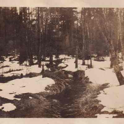 Photograph, Black-and-White