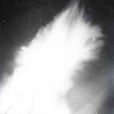 Negative, Sheet Film