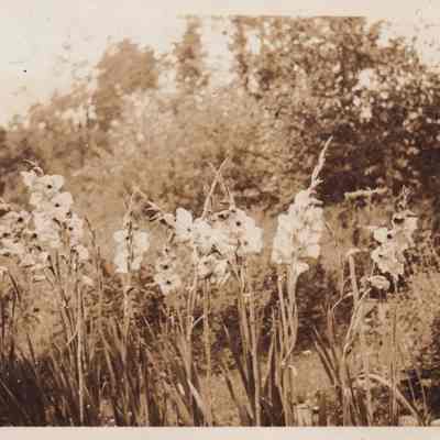 Photograph, Black-and-White
