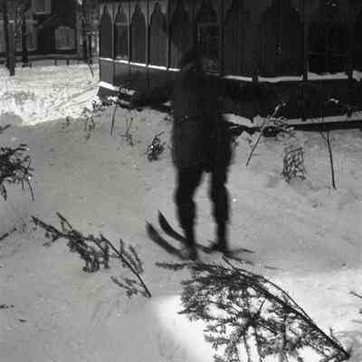 Negative, Sheet Film