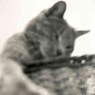 Negative, Sheet Film