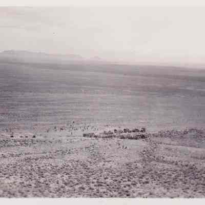 Photograph, Black-and-White