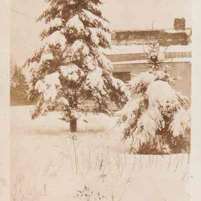 Photograph, Black-and-White