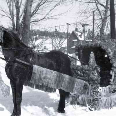 Negative, Sheet Film