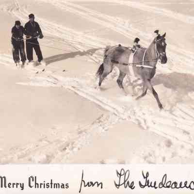 Postcard