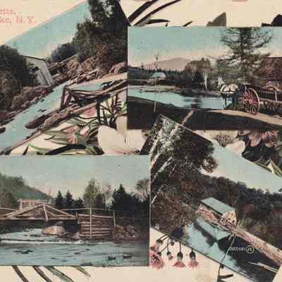 Views at Bartletts, Upper Saranac Lake, N. Y.