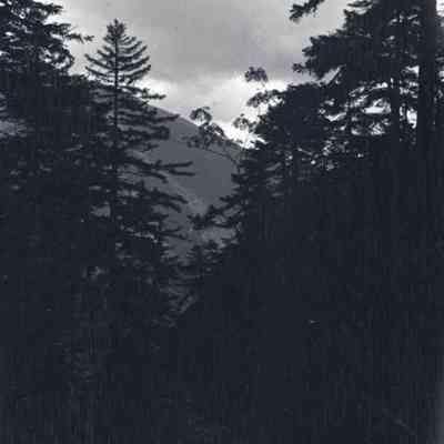 Negative, Sheet Film