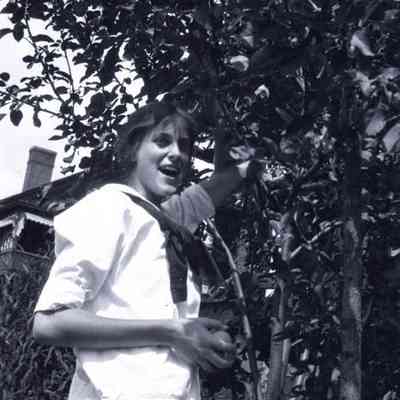 Negative, Sheet Film