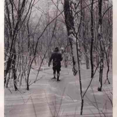 Wolf Trapping, Town of Bellmont, Winter 1934.