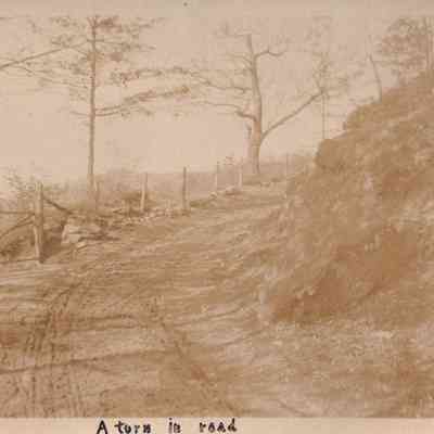 A Turn in Road