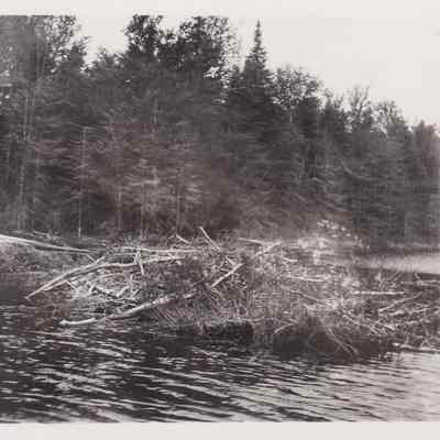 Beaver Dam Between Mud Pond and Ragged Lake