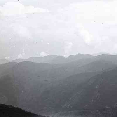 Negative, Sheet Film