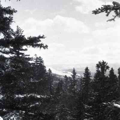 Negative, Sheet Film
