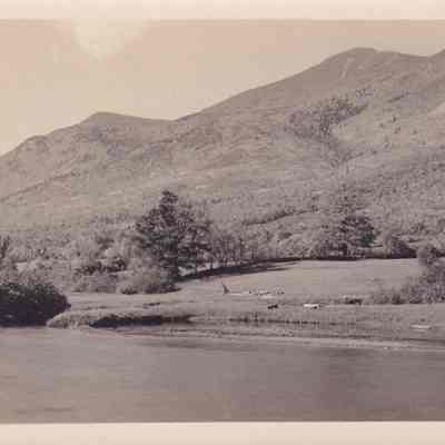 Photograph, Black-and-White