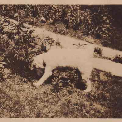 Photograph, Black-and-White
