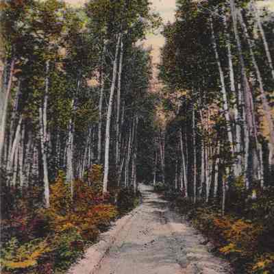 White Birch Drive, Saranac Inn, Upper Saranac Lake, Adirondacks