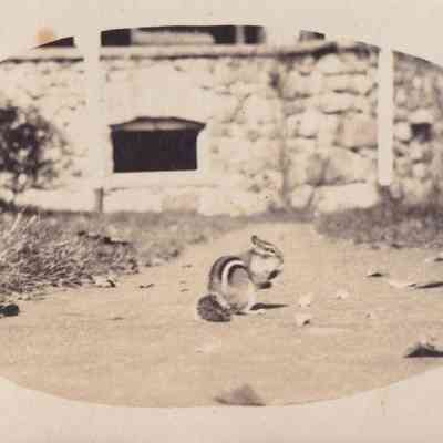 Photograph, Black-and-White