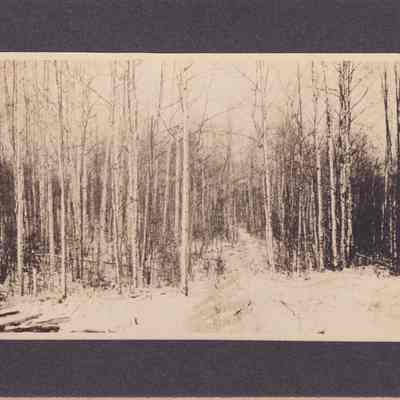 Photograph, Black-and-white