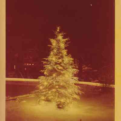 Photograph, Color