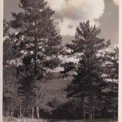 Photograph, Black-and-White