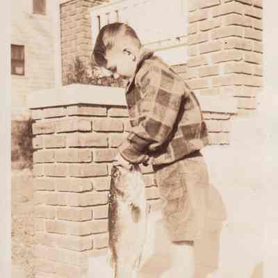 Photograph