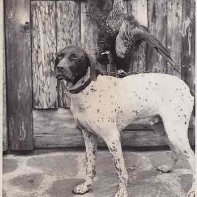 Photograph, Black-and-White