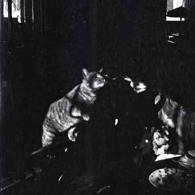 Negative, Sheet Film