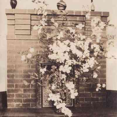 Photograph, Black-and-White