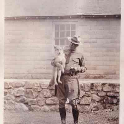 Wolf pup caught in town of Belmonth, Franklin County during summer 1934 when about 6 week old.