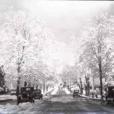 Negative, Sheet Film