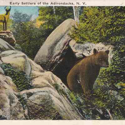 Early Settlers of the Adirondacks, N.Y.