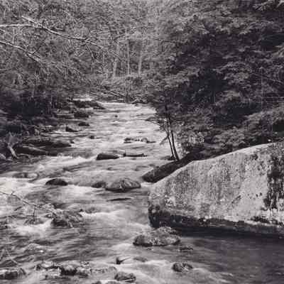 Photograph, Black-and-White