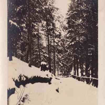 Photograph, Black-and-White