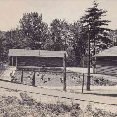 Photograph, Black-and-White