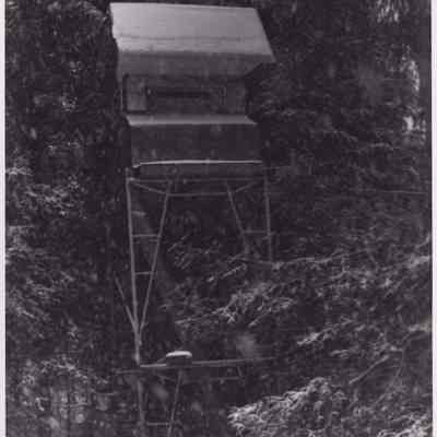 Photograph, Black-and-White
