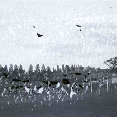 Negative, Sheet Film