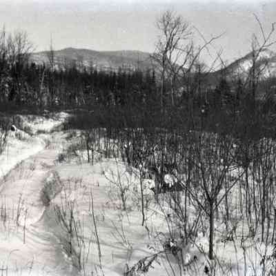 Negative, Sheet Film
