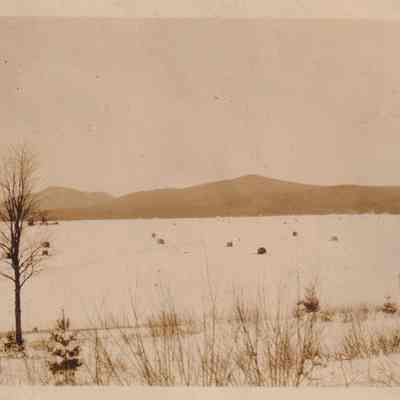 Photograph, Black-and-White