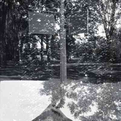 Negative, Sheet Film