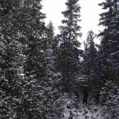 Negative, Sheet Film