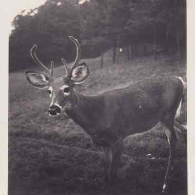 Photograph, Black-and-White
