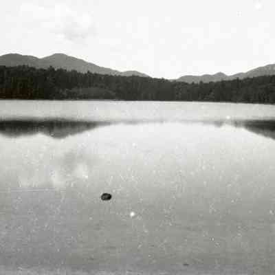 Negative, Sheet Film