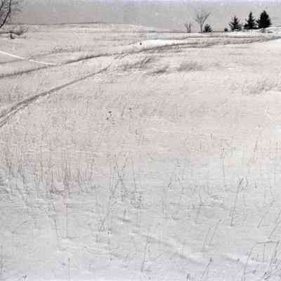 Negative, Sheet Film