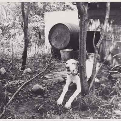 Photograph, Black-and-White