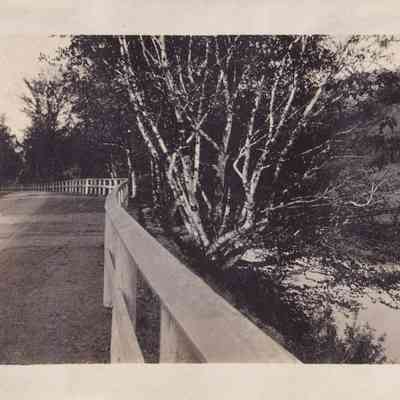 Photograph, Black-and-White